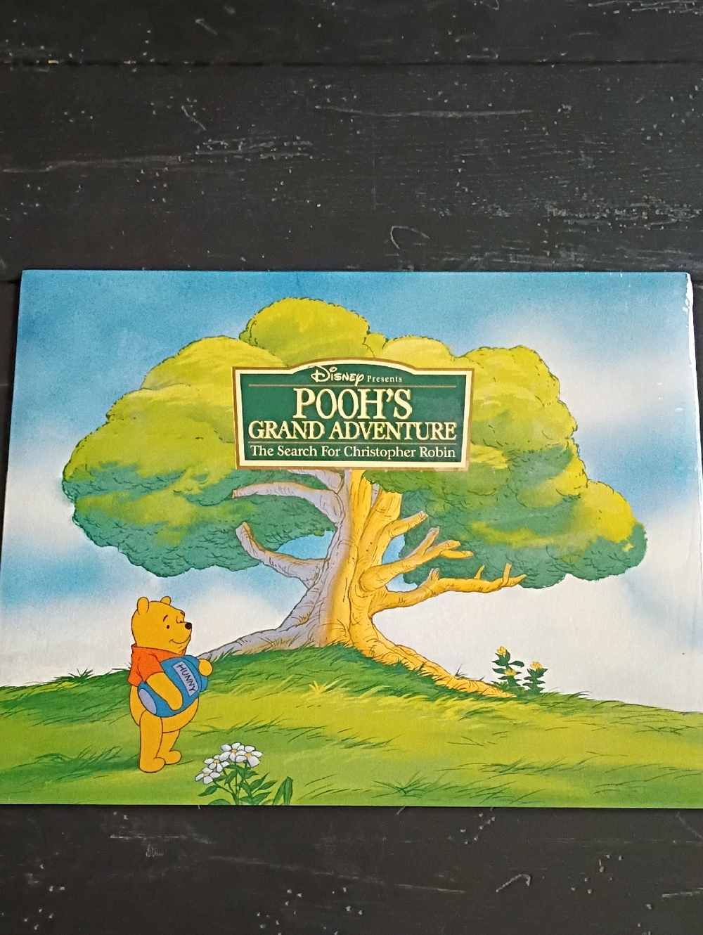 Disney Pooh's Grand Adventure The Search For Christopher Robin Lithographs New